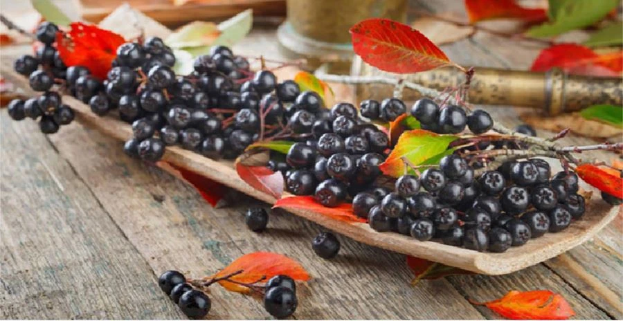 Aronia Berry Powder