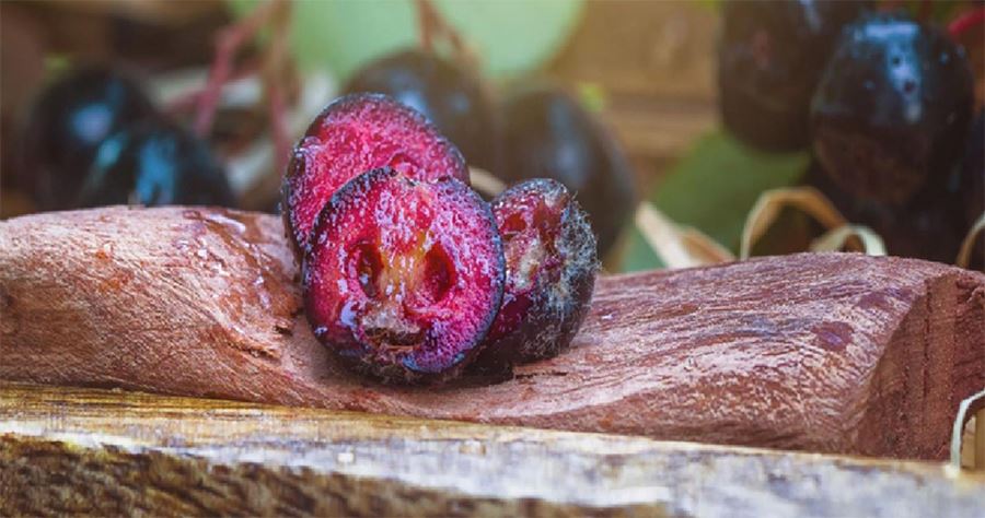 Aronia Fruit Powder