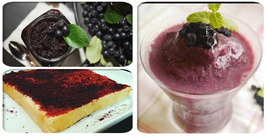 Aronia Fruit Juice Powder