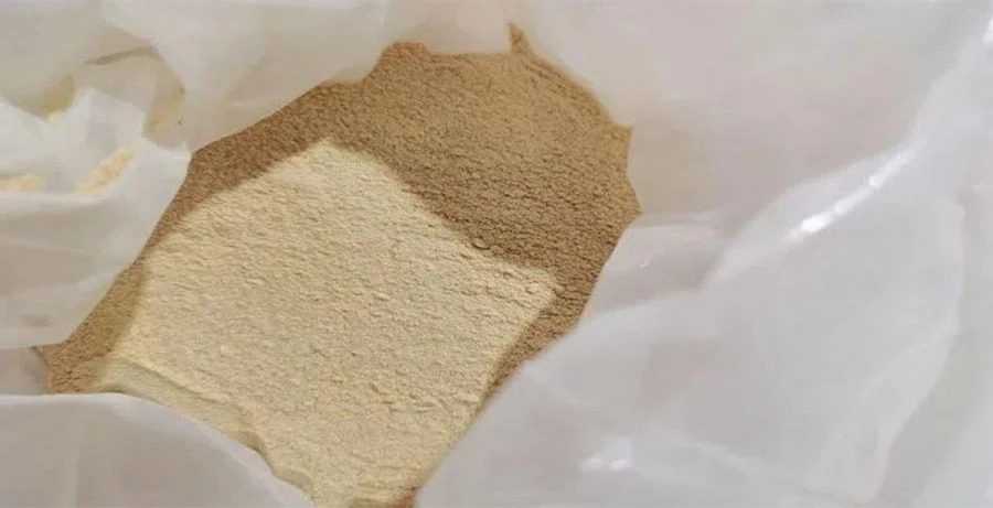 Wheat Germ Extract Powder