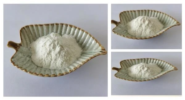 Gamma Oryzanol Powder