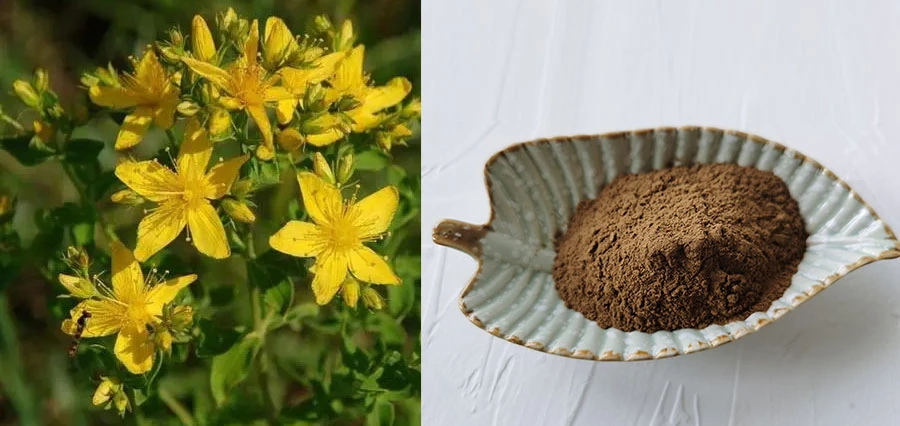 Hypericum Perforatum Extract
