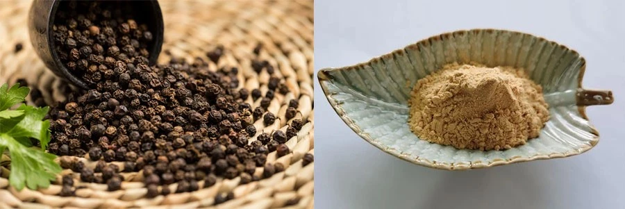 Piper Nigrum Seed Extract price Piper Nigrum Seed Extract price