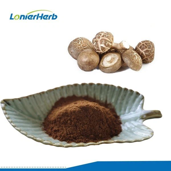 Shiitake Mushroom Extract Powder- Herbal Extract