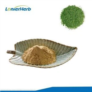 Gynostemma استخراج مسحوق