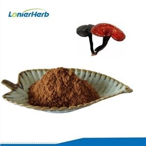 مسحوق مستخلص فطر الريشي