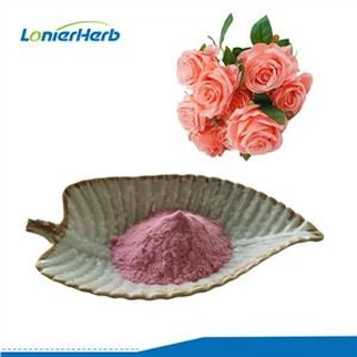 مسحوق الورد للمشروبات