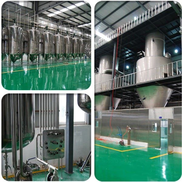 Lonierherb Factory Lonierherb Factory