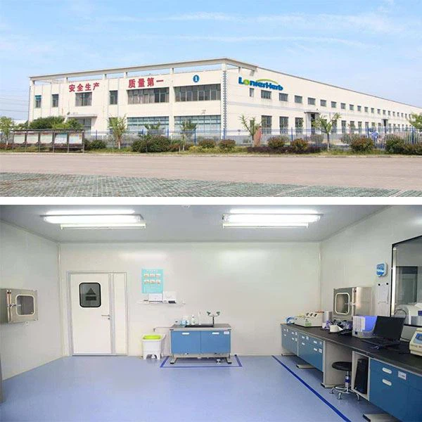 EGCG Green Tea Extract