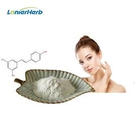 هل تعرف فوائد مسحوق مستخلص Polygonum Cuspidatum؟
