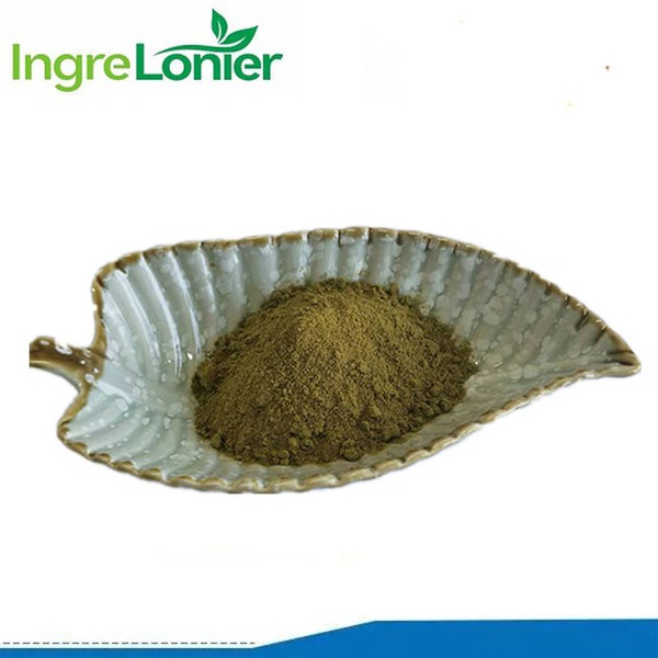 Sponge Spongilla Powder Sponge Spongilla Powder